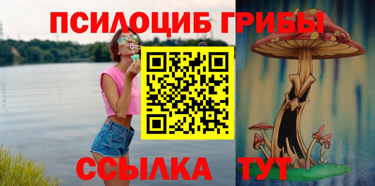 Галлюциногенные грибы Psilocybe Феодосия
